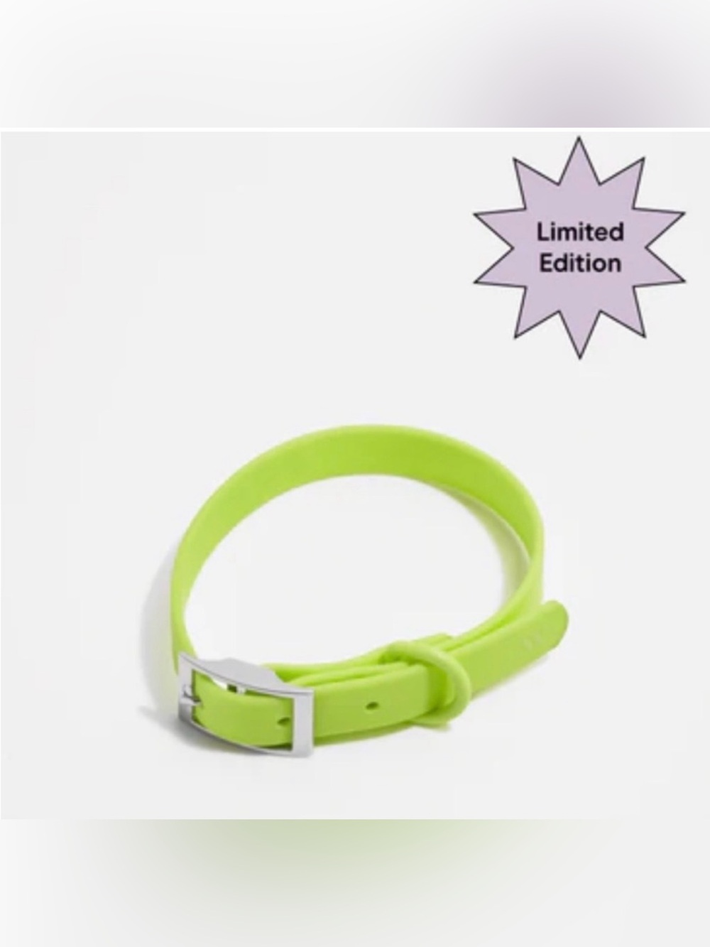 Wild One Limeade Waterproof Dog Collar - NWOT